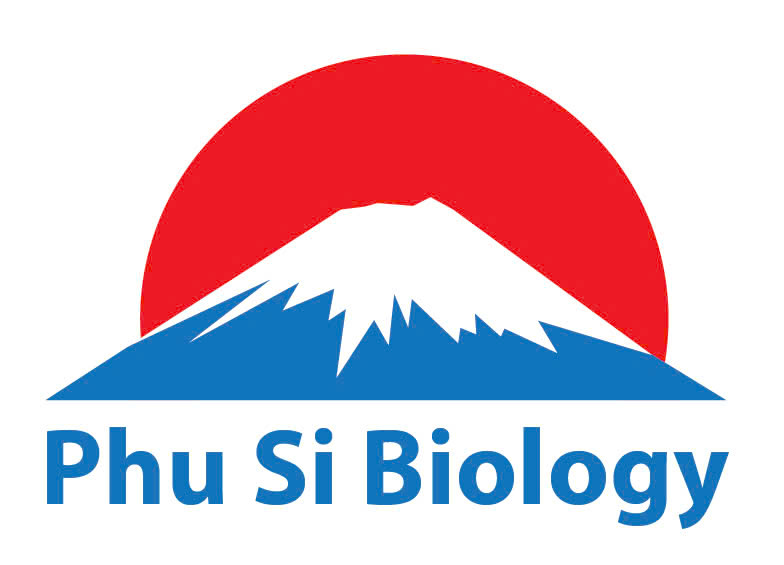 Đối tác chúng tôi